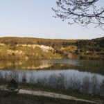 17234721-0edf-45e5-9641-0594f9fca46f