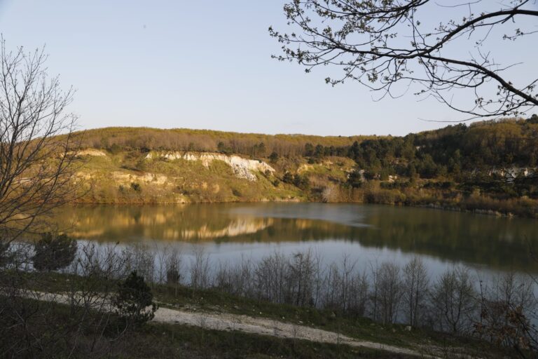 17234721-0edf-45e5-9641-0594f9fca46f